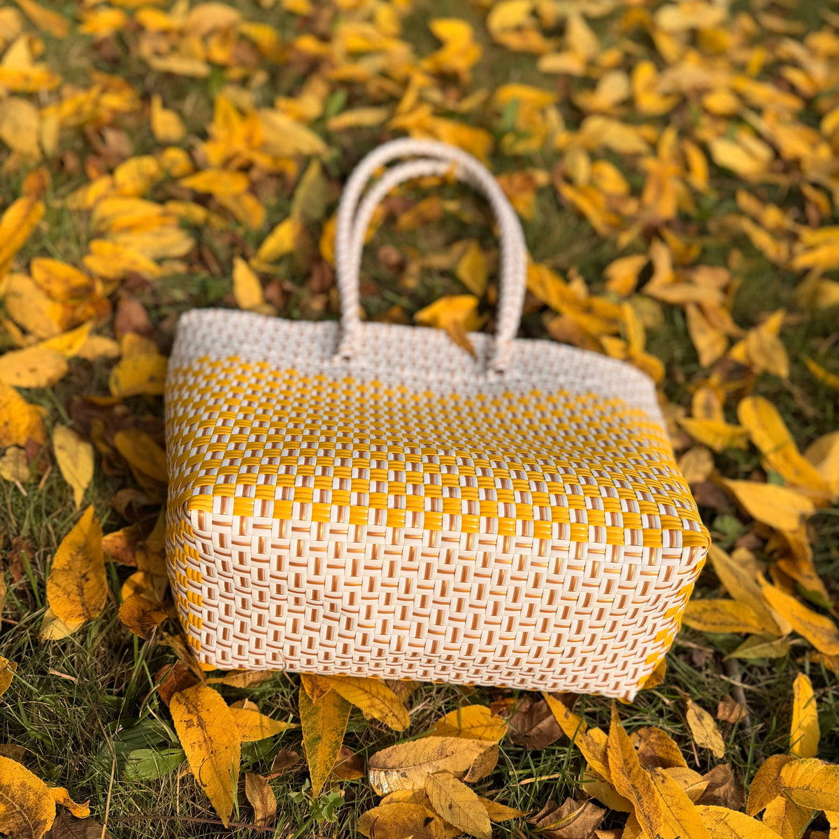Zippered Golden Hour