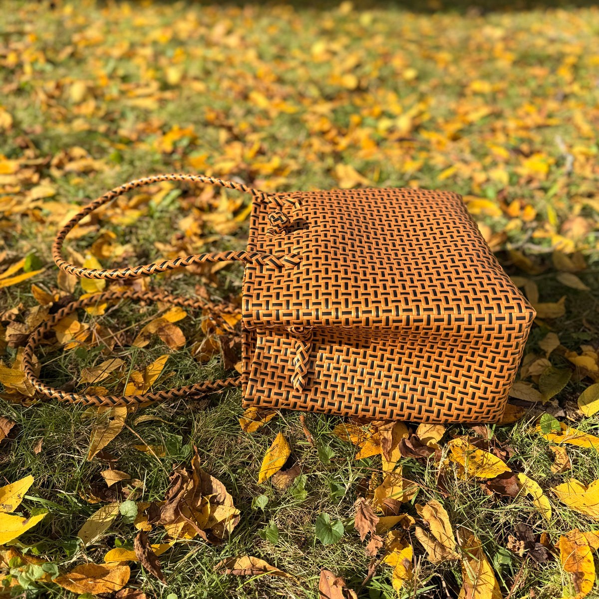 Coco Tan Bag