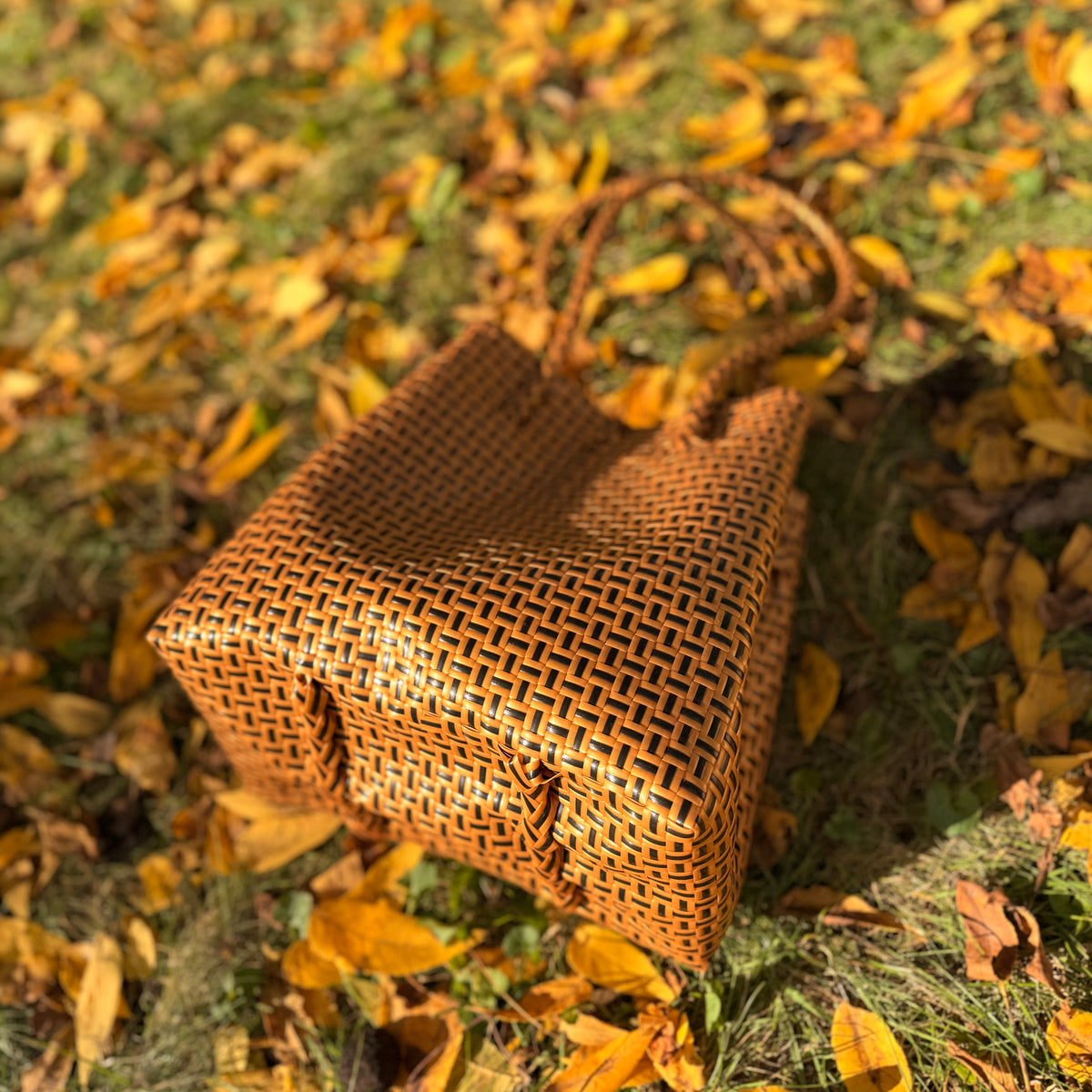 Coco Tan Bag