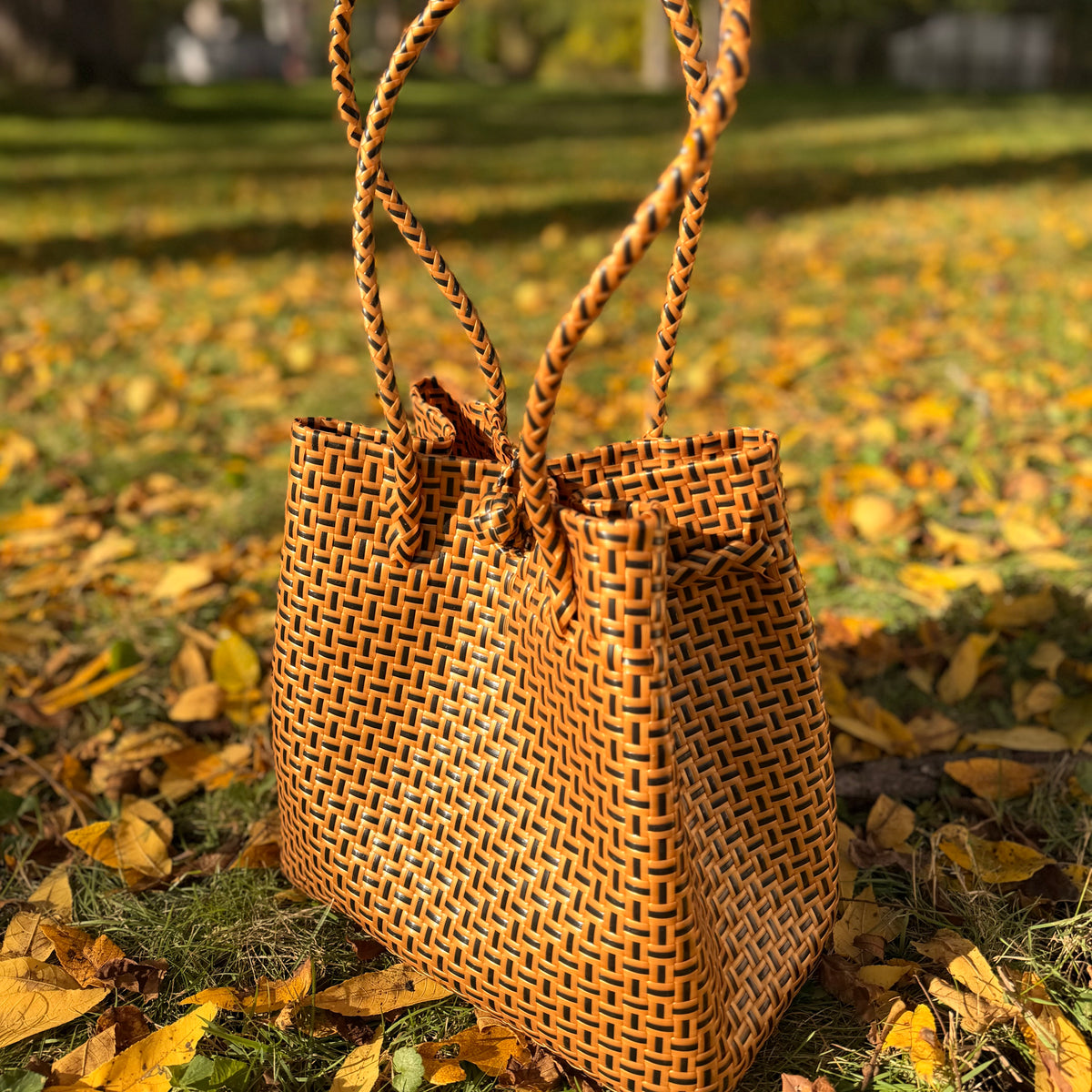 Coco Tan Bag