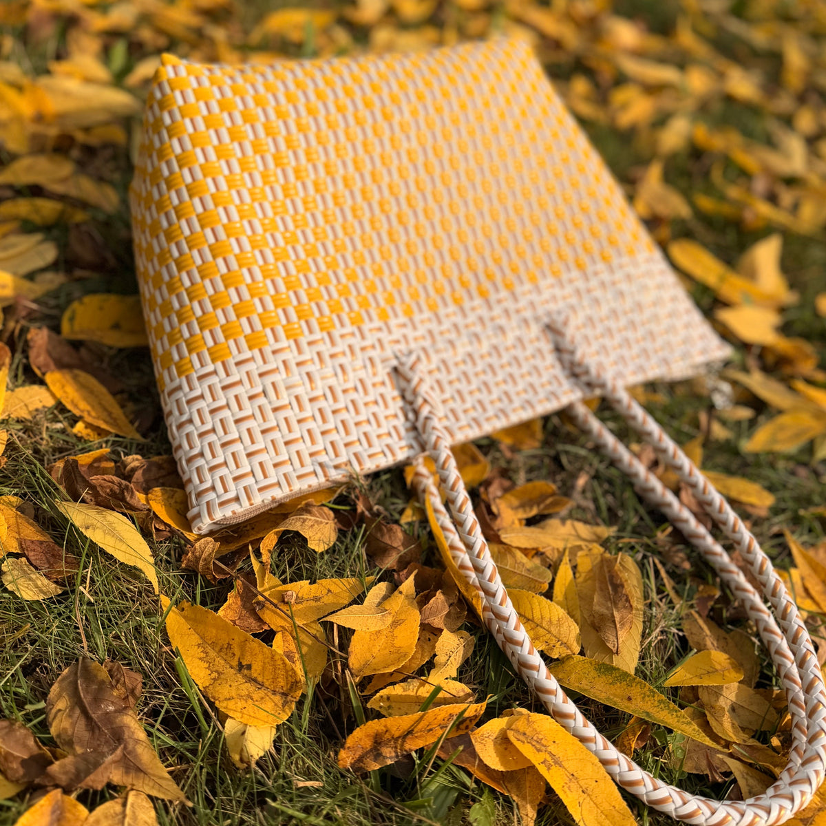 Zippered Golden Hour