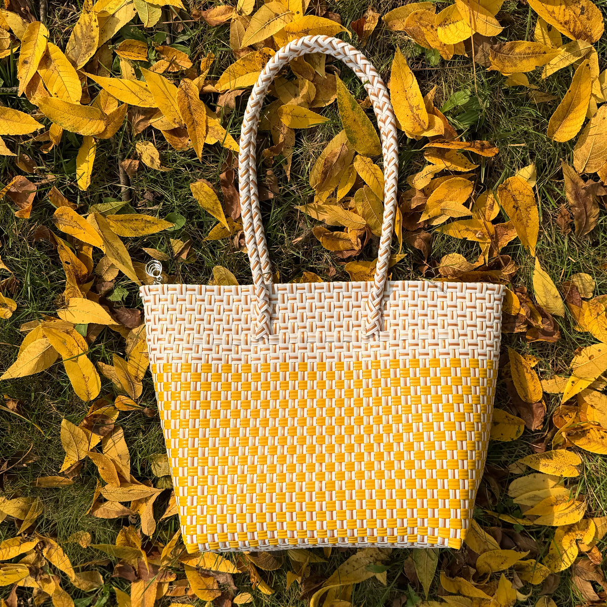 Zippered Golden Hour