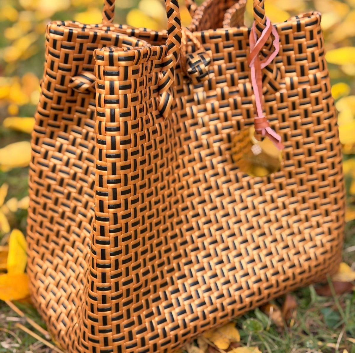 Coco Tan Bag