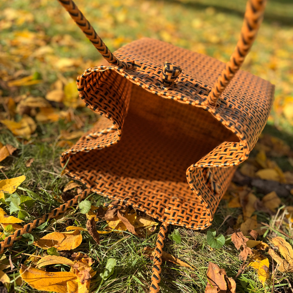 Coco Tan Bag