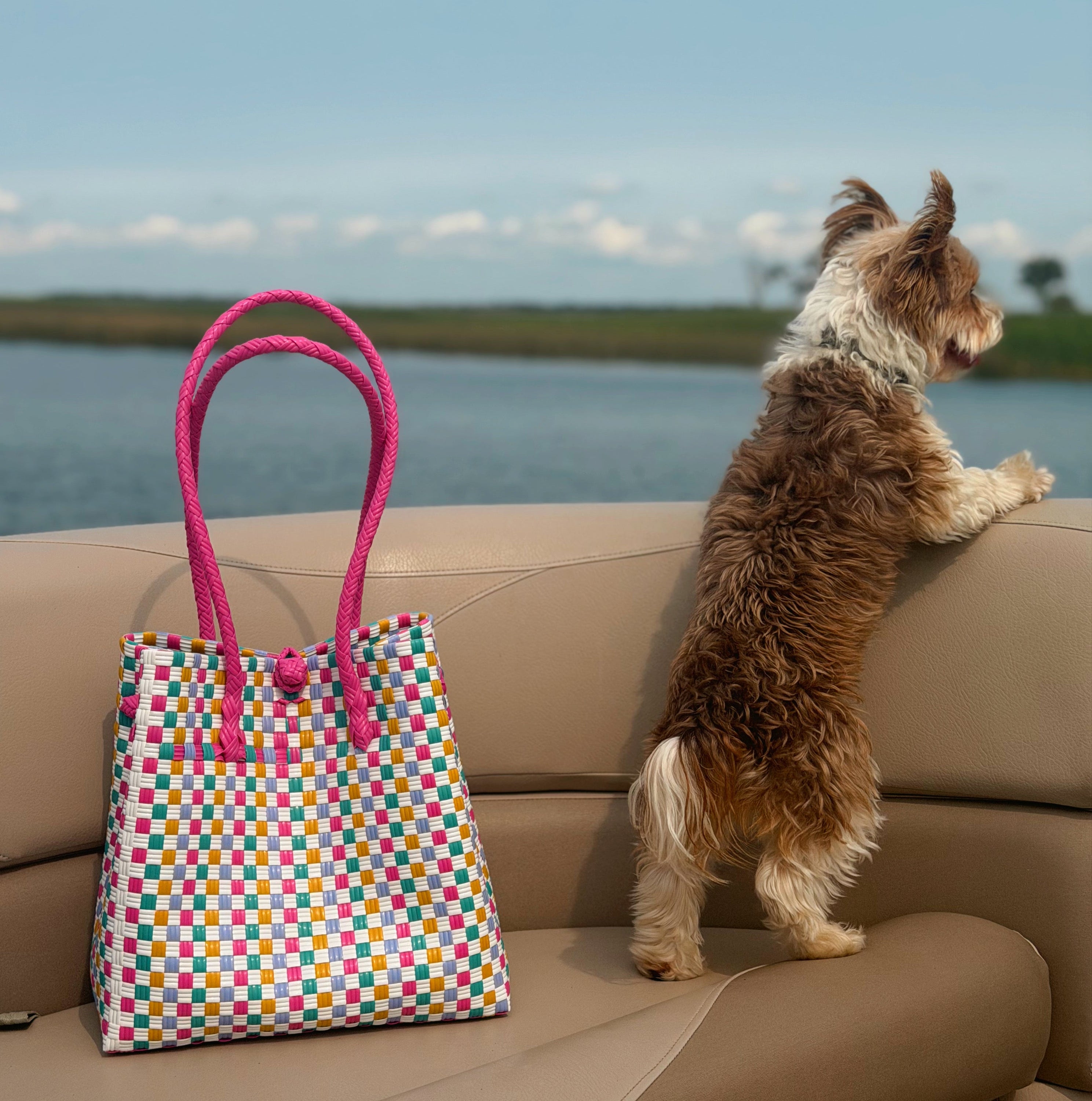 Candy Tote